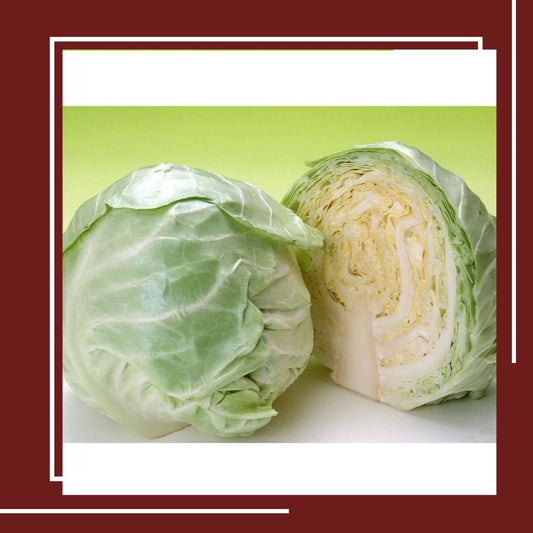 Cabbage|Red cabbage in London|Cabbage Soup in UK|Fresh Fruits & Vegetables Online Delivery