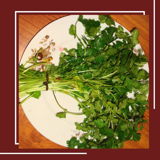 Coriander|Carrot Coriander soup|Ground coriander in London|Cilantro Leaf